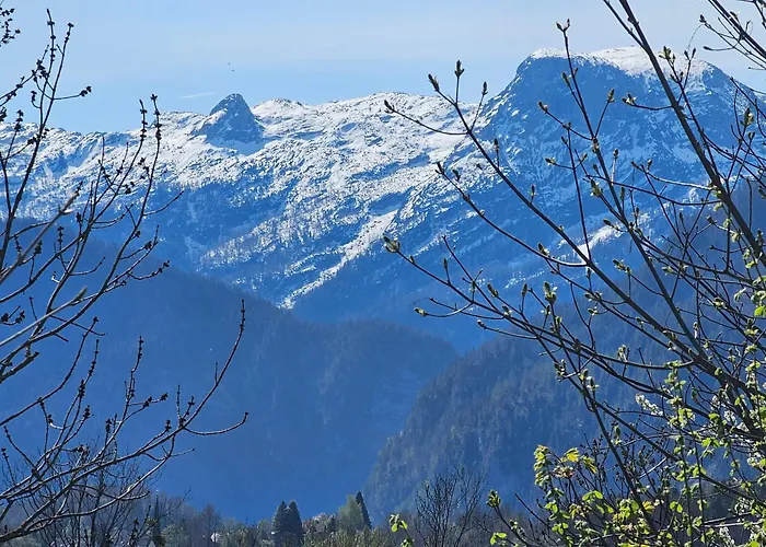 Apartment Am-wildpfad Bad Goisern