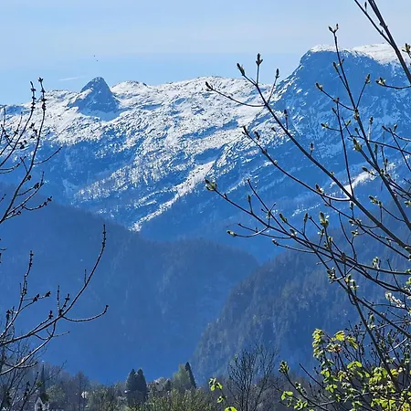 Appartement Am-wildpfad Bad Goisern