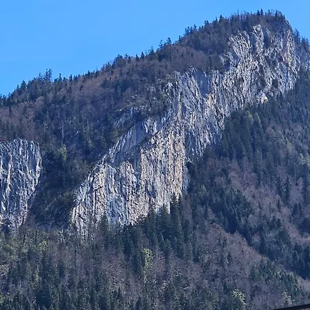 Am-wildpfad *